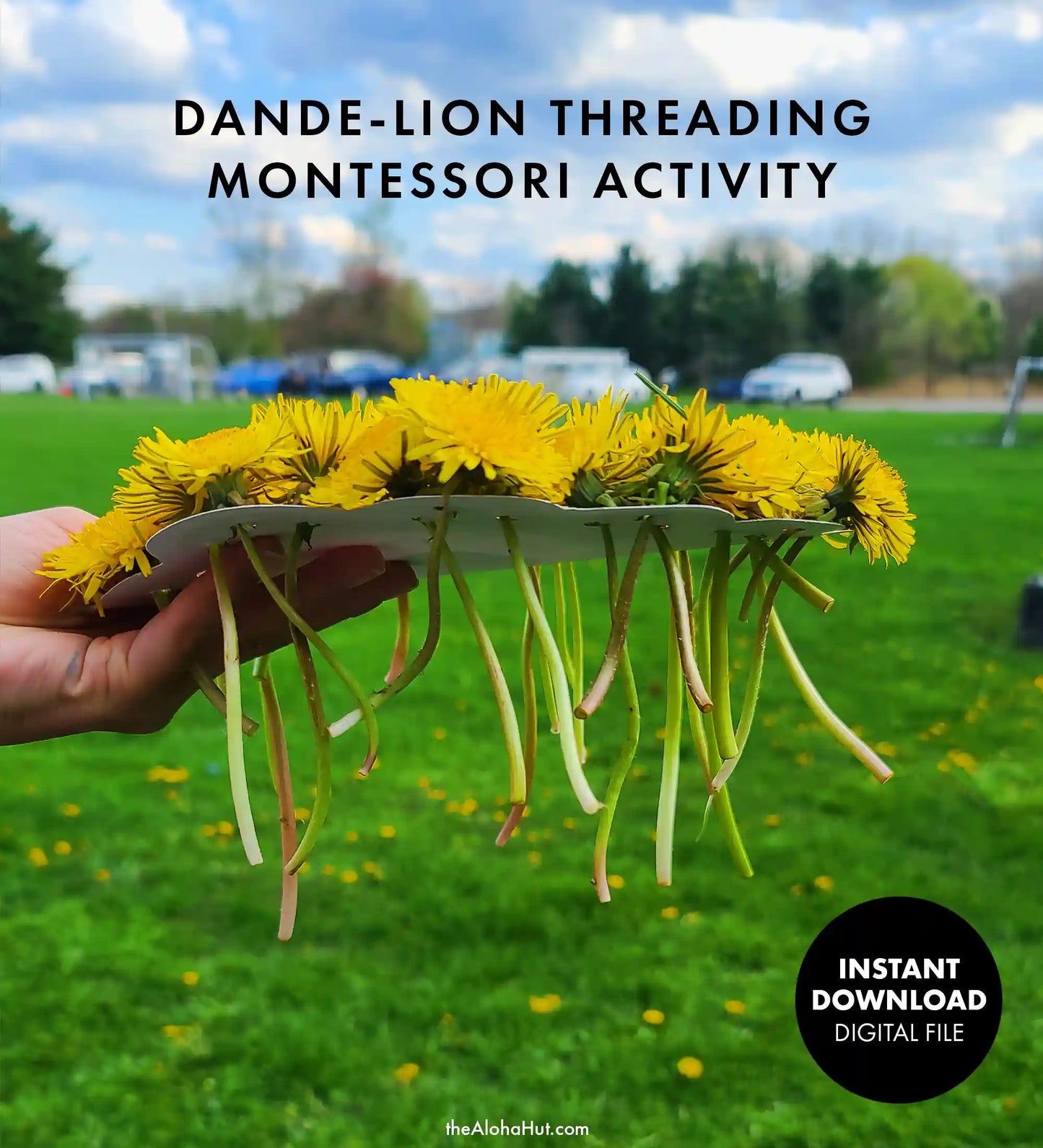 Dandelion Threading - Montessori Activity