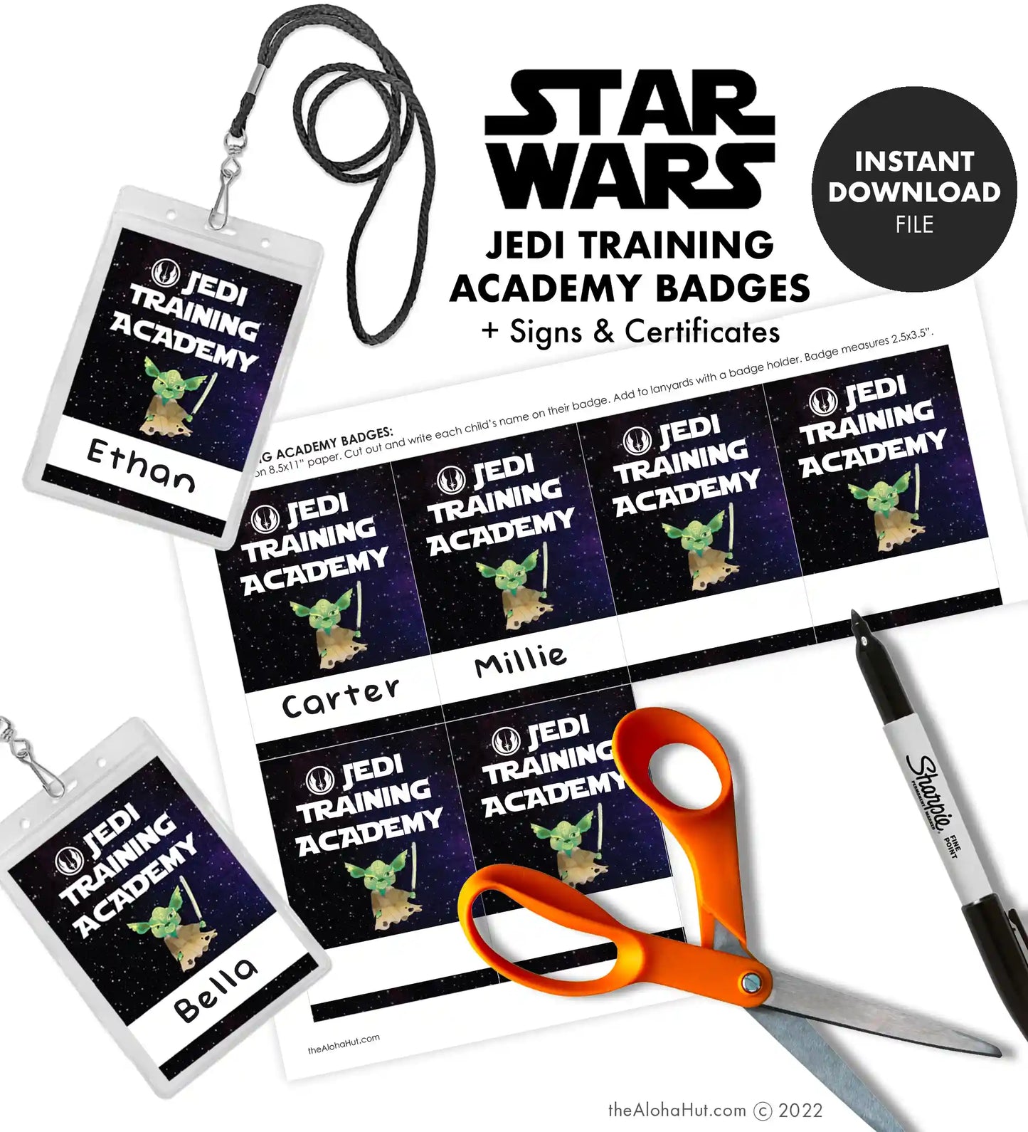 Star Wars Jedi Training Academy