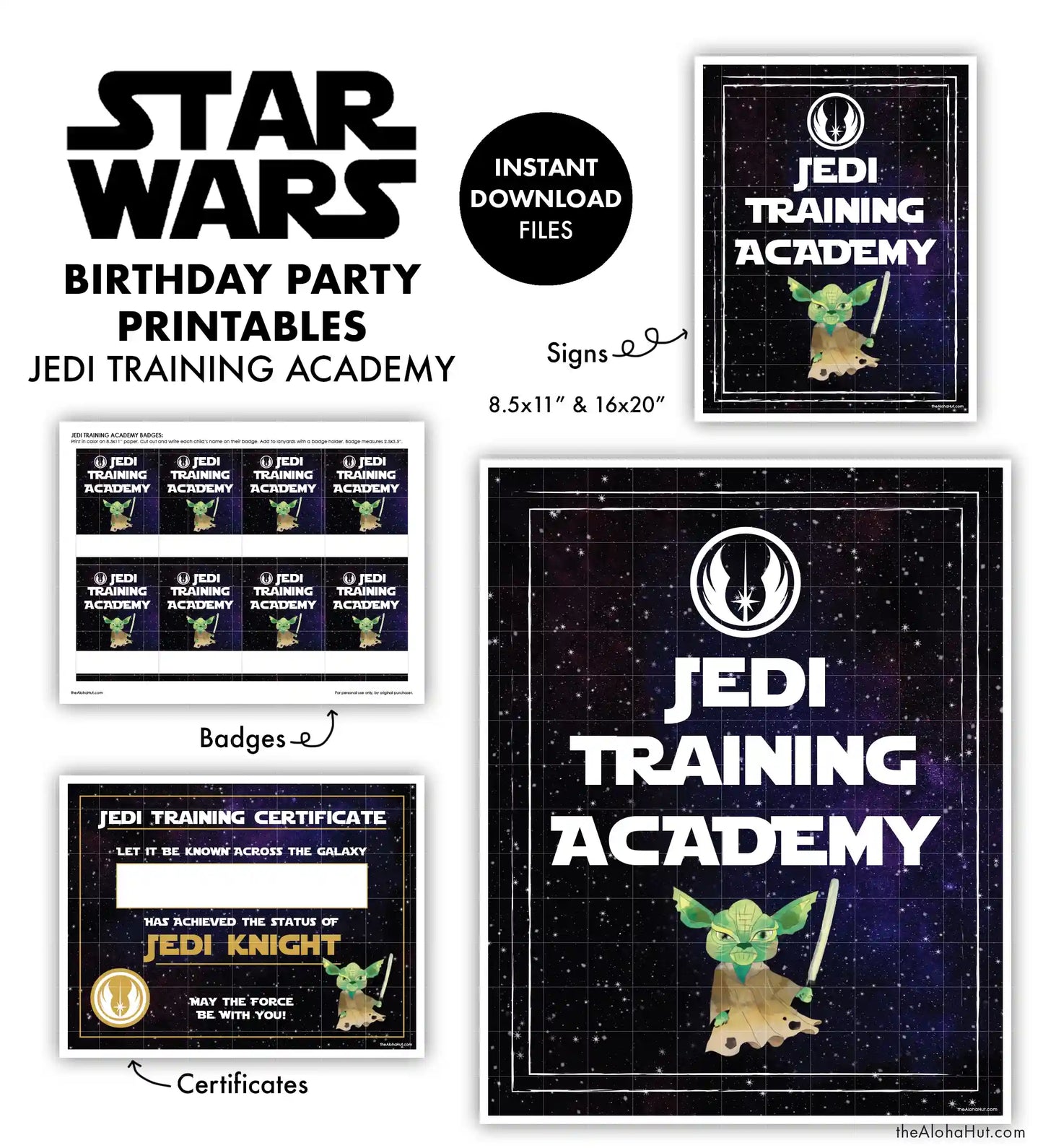 Star Wars Jedi Training Academy